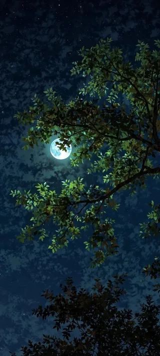 Luminous Moonlight and Foliage Silhouette phone wallpaper