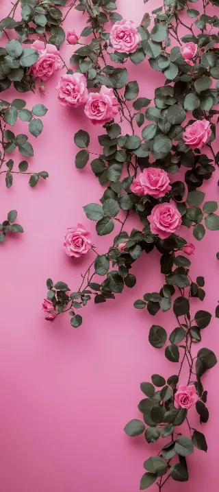 Roses on Pink phone wallpaper