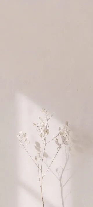 Dried Branch Study phone wallpaper