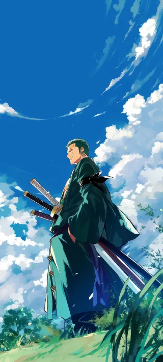 Pirate Hunter Zoro phone wallpaper