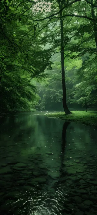 Silent River phone wallpaper