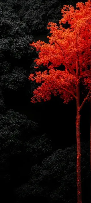Autumn Flame Tree phone wallpaper