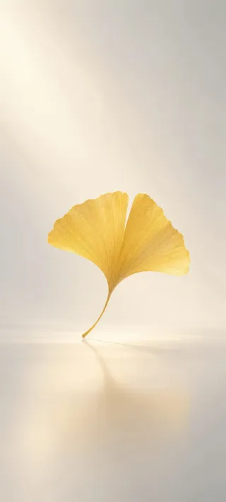 Golden Ginkgo Leaf phone wallpaper