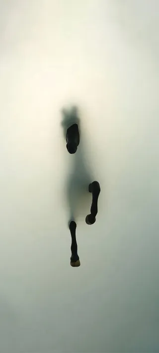 Emergence from the Mist phone wallpaper
