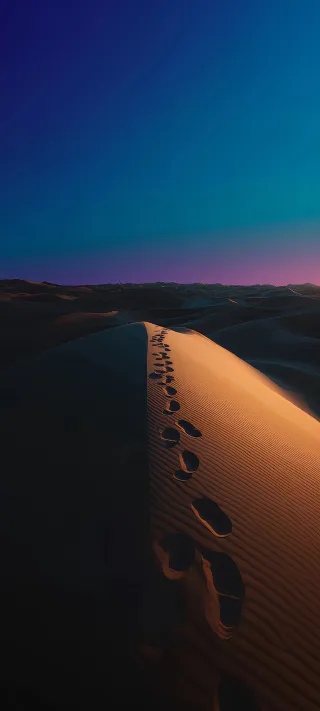 Desert Tracks phone wallpaper