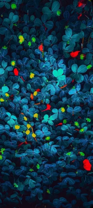 Golden Sparks in the Indigo Clover phone wallpaper