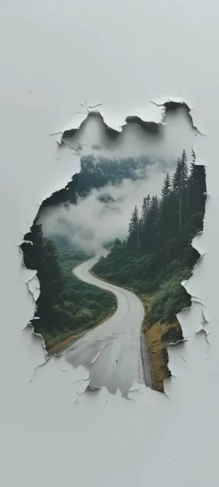 Road Through the Pines phone wallpaper