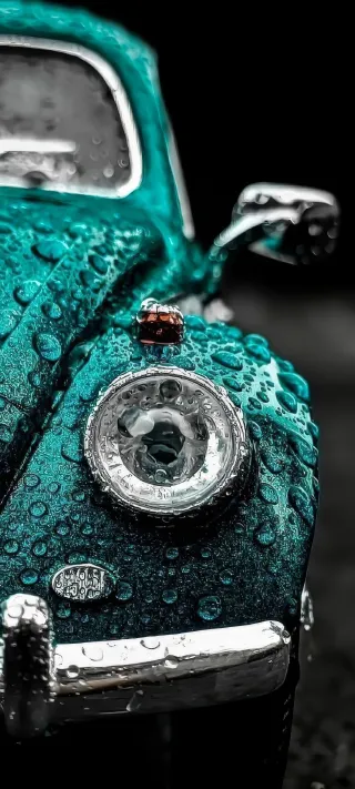 Teal Beetle in the Rain phone wallpaper