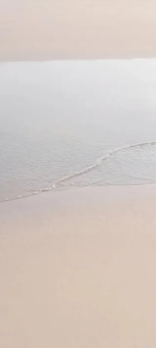 Quiet Shoreline phone wallpaper