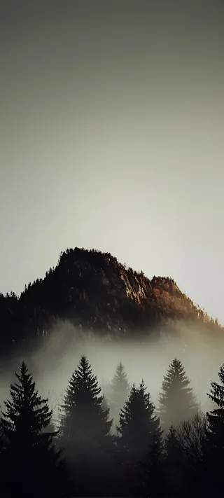 Mountain Mist phone wallpaper