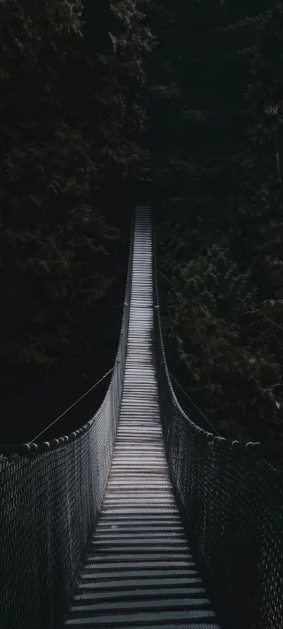 ​Into the Deep Woods phone wallpaper