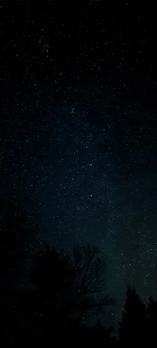 Stars in the Night phone wallpaper