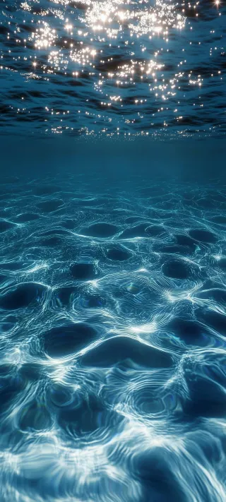 Sunlit Water Surface phone wallpaper