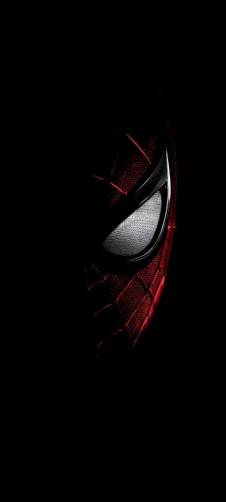 Spider-man in Shadow phone wallpaper