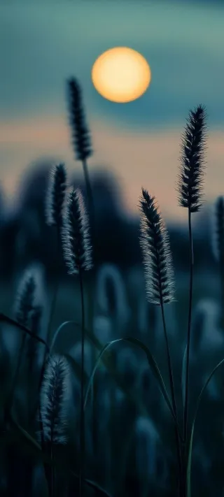 Serene Dusk Meadow phone wallpaper